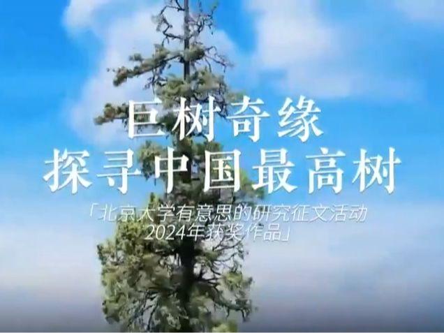 北京号最精彩 | 邀您共赏！本市部分火车站地区主题花坛盛装亮相