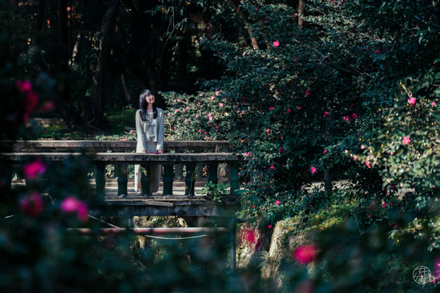 东湖这四处绝美秋景，出片率100%