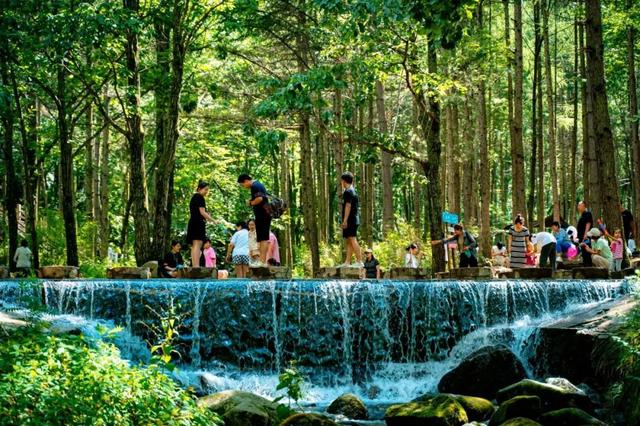 高温来避暑！河南这些景区有免门票等优惠政策
