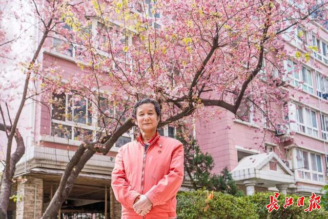 市区融媒联动看全国两会①：约你春天赏樱花