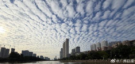 图集｜广州上空出现绝美鱼鳞云