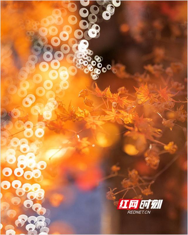 潘华摄影作品：漫步永州蓝山谷 邂逅湘江源头的层林尽染