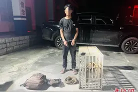中缅边境云南瑞丽：警方深夜查获走私野生动物案图片
