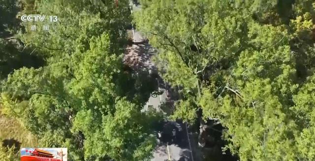 跟着课本去看潮