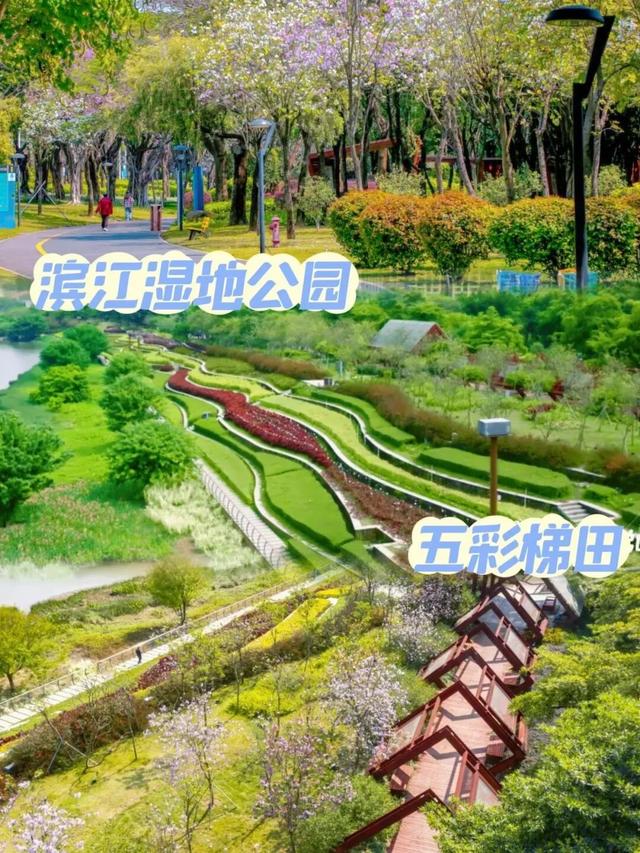 宠粉！国庆中秋，乐从水利大楼免费对外开放，附赠周边畅玩攻略→