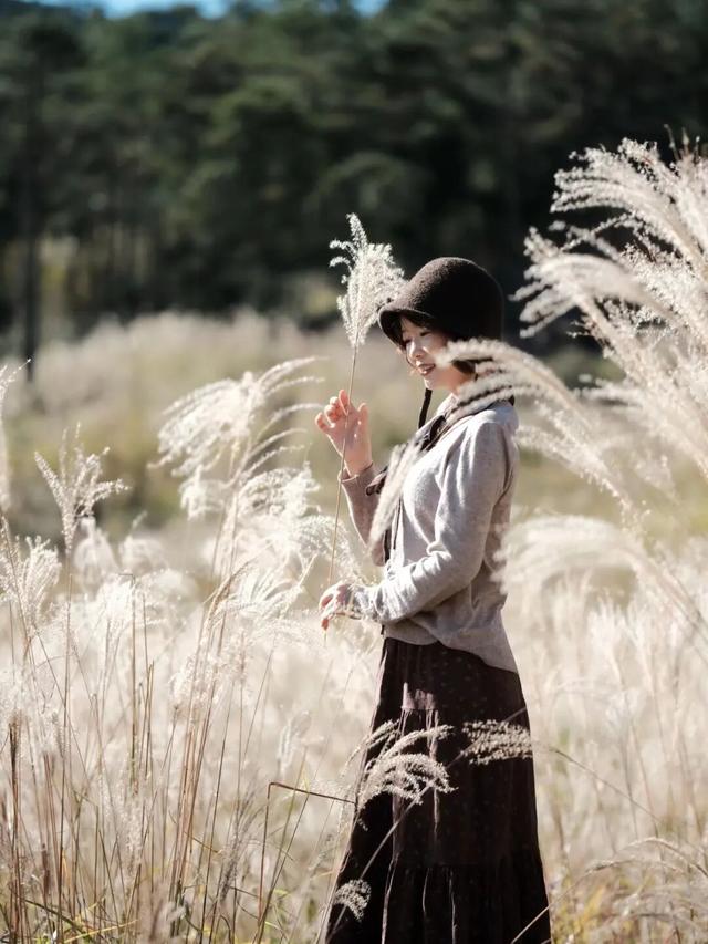 不赶行程的自由！屏南2天1夜，与草场、火凤凰、红柿子浪漫相遇