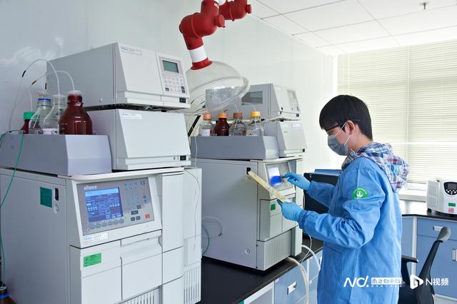 康宝莱营养蛋白质粉的功效与作用 2026年康宝莱牌蛋白营养粉多少钱一瓶