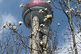 注意：上海天气即将有变！雨水又来，要下多久？最新提醒：入春还有悬念……图片