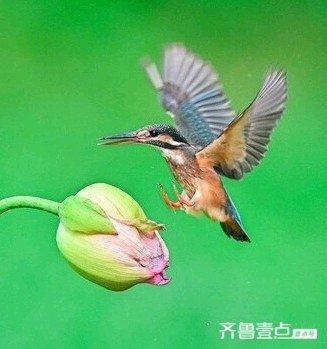 华山湖湿地公园以其优美的自然景观和丰富的生态多样性闻名