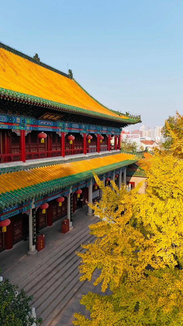 山东秋天的限定「色卡」，你集齐了吗？