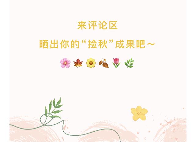 最美松湖｜烦恼No，捡秋Go！来这里一键切换治愈模式