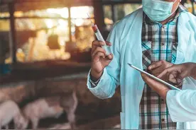 2024年动物疫苗行业十大代表性研发企业：生物股份、瑞普生物、中牧股份、科前生物、永顺生物……图片