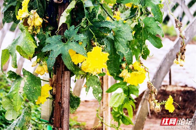 秋游时刻丨这片潇水边的沃土，才是秋天最不该错过的风景