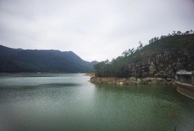 和美溪埔：一汪清水鸭先知