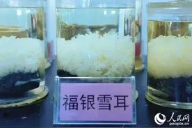 【世界银耳看古田】古田食用菌“上新”啦图片