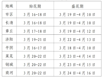 花海绽放！踏着春风的脚步来泉城赏花啦
