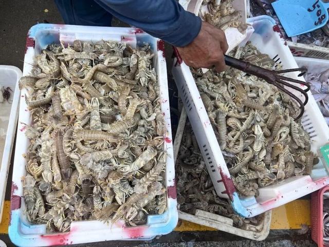 免费又出片！威海人私藏！钓鱼人、秋千、老渔船，治愈力满分～