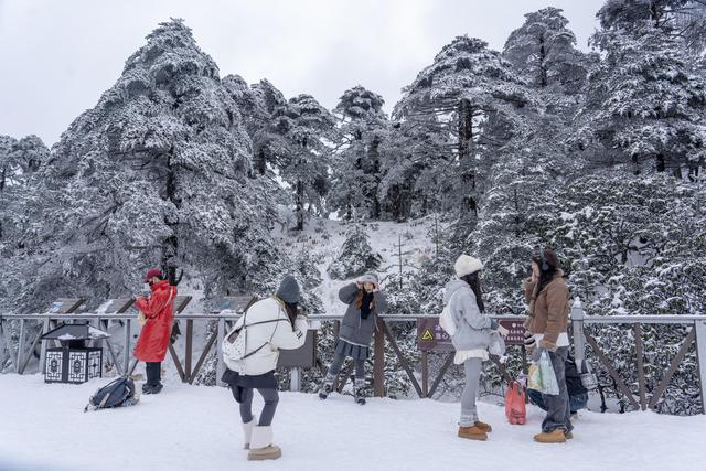 大理苍山：银装素裹美景引客来#