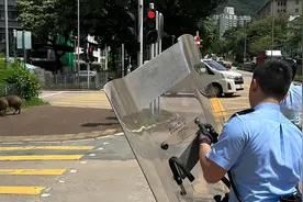 闯进家门的不速之客：野猪东北虎黑熊等接连伤人的预警和应对图片