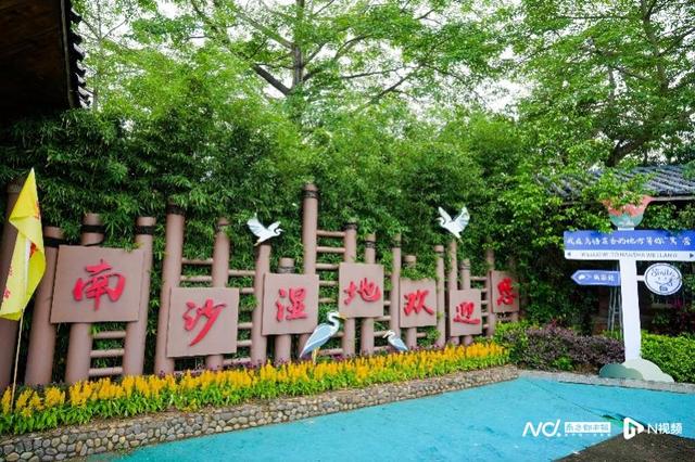 水上南沙，清凉一“夏”，解锁花样玩水新体验！