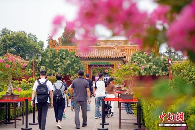 让北京中轴线更出片，这个公园给树“做发型”