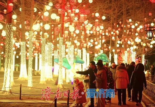 一年四季 泉在济南丨迎春花灯亮化测试，五龙潭公园点亮“花涧秘境”