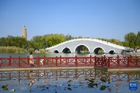 新时代中国调研行之看区域·西部篇｜宁夏银川：塞上江南生态美图片