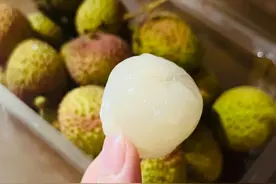 北方人把妃子笑当宝，东莞人：这才哪到哪？｜莞有料图片