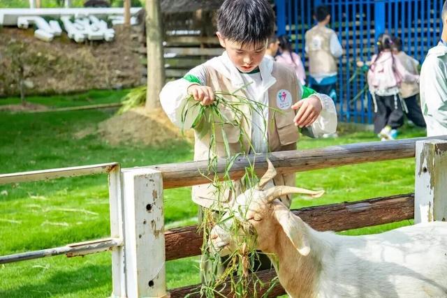 六万株樱花正在开放！就在杭州！这里真的美到不行……