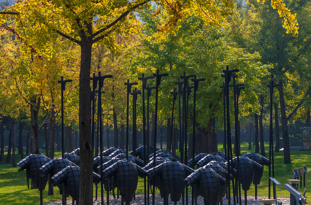 落叶缓扫，在曲江邂逅一场初冬浪漫！