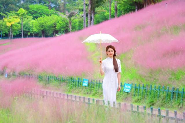 寒露凝秋色 花绽景常新