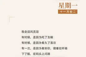 作家日签 | 刘年：王村图片