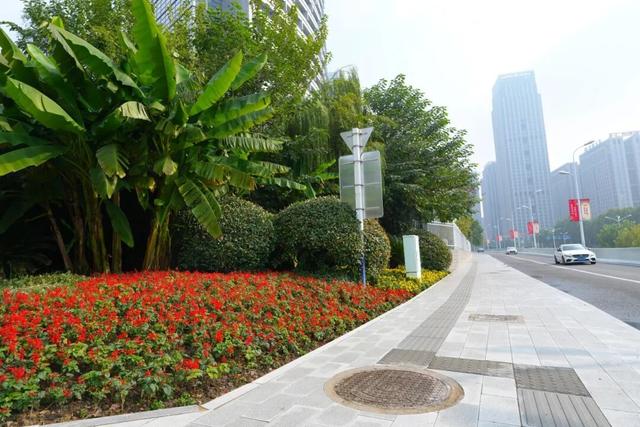 在蜀山，转角遇见美！这些地方已更新→