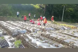 宁波黄冈对口合作展实效，工作队首棒交出亮眼答卷图片