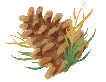 这才是青岛人私藏的城市封面！“醉美”红礁石、中国首个水族馆，年卡99元起畅玩！