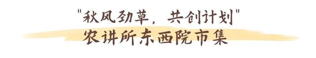 游走红墙黄瓦间，遇见越秀的“慢时光”