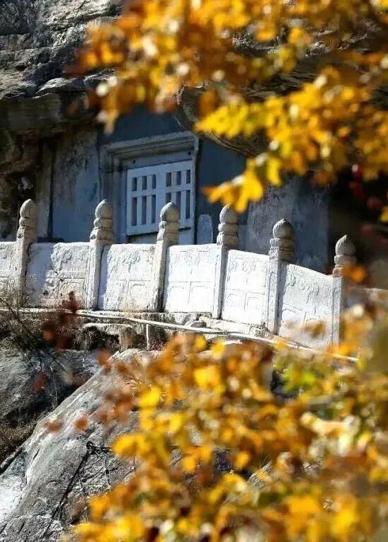 人少景美！北京这些古刹红叶正在最佳观赏期！