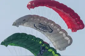 （外代一线）印度庆祝空军日图片