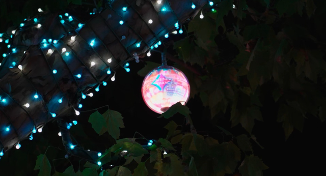 上海的朋友快冲！还有8天！来静安开启梦幻夜游！（超多美图抢先看↗）｜金秋静安·不容错过