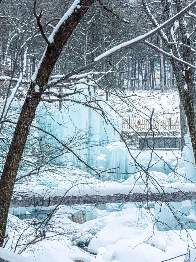 洛阳这些地方值得反复去，反复反复去... ...