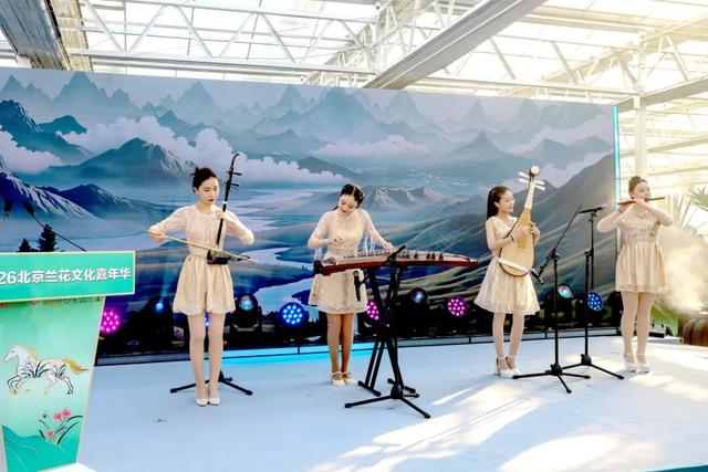 家庭园艺嘉年华| 2026北京兰花文化嘉年华在昌平盛大开幕
