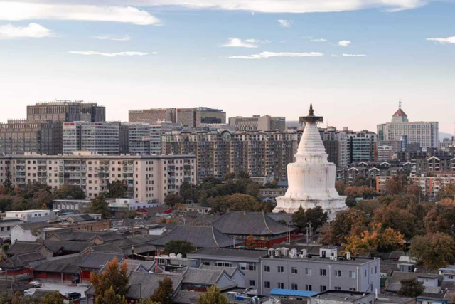 多彩京秋丨全市彩叶树变色率播报（2025.11.13）