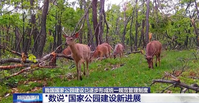 生命摇篮、绿色肺叶……万米高空看“大美国家公园”有啥亮点