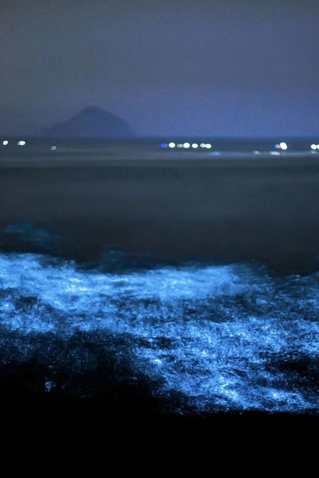 浙江一海岛现“梦幻蓝眼泪”！民宿老板拍下一幕：很震撼，这些点位最易偶遇