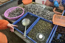 “清明螺，赛只鹅”！很多南平人已经“嗦”上啦!图片