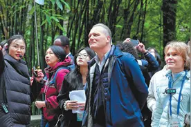 入境便利 旅行便捷！外国游客：现代化的中国开放、包容图片