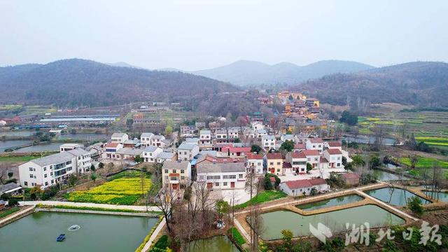 京山：阳春三月 赏花正当时
