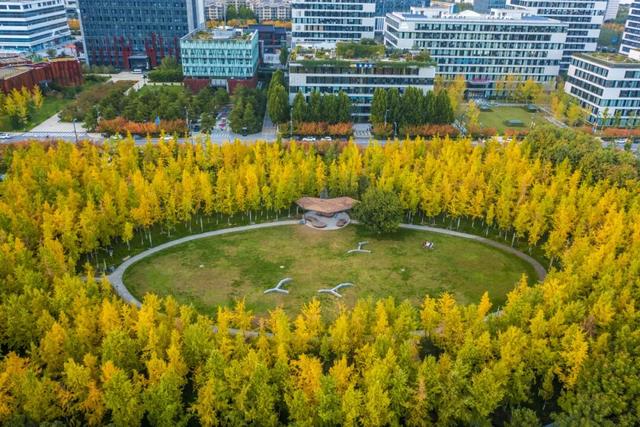 又是一年秋好处