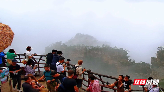 雨后杨家界云海翻涌 峰墙奇景引客来