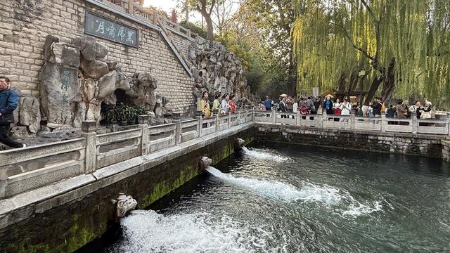 新视界｜济南护城河公园：泉水清清映垂柳 黄叶菊花别样新